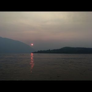 Meet your Posher, Bella